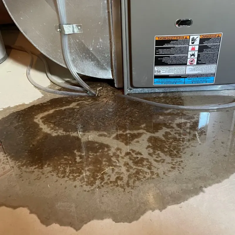 Pipe Burst and Leak Restoration in Pitkin County, CO